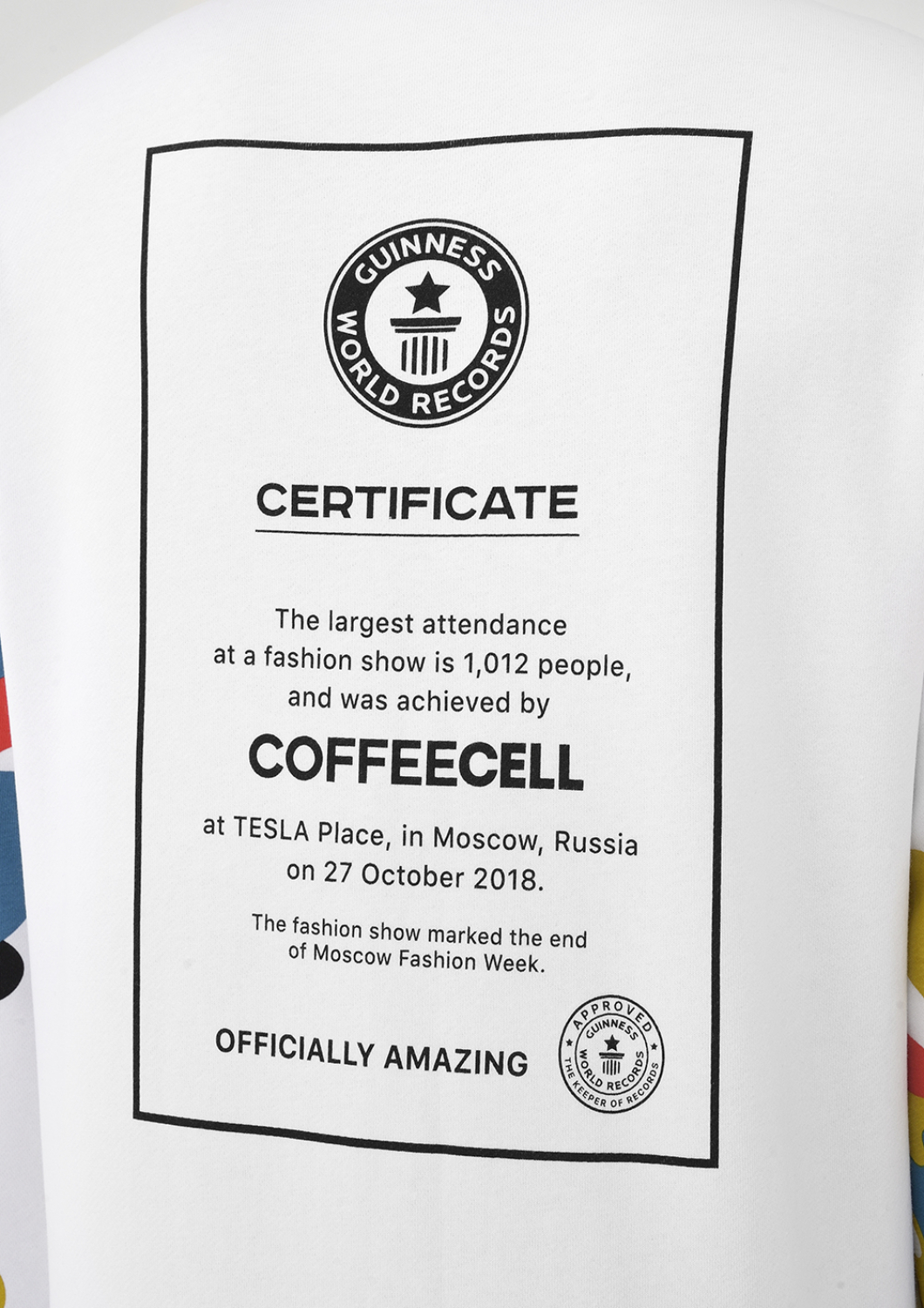 Свитшот Guinness World Record. Male.